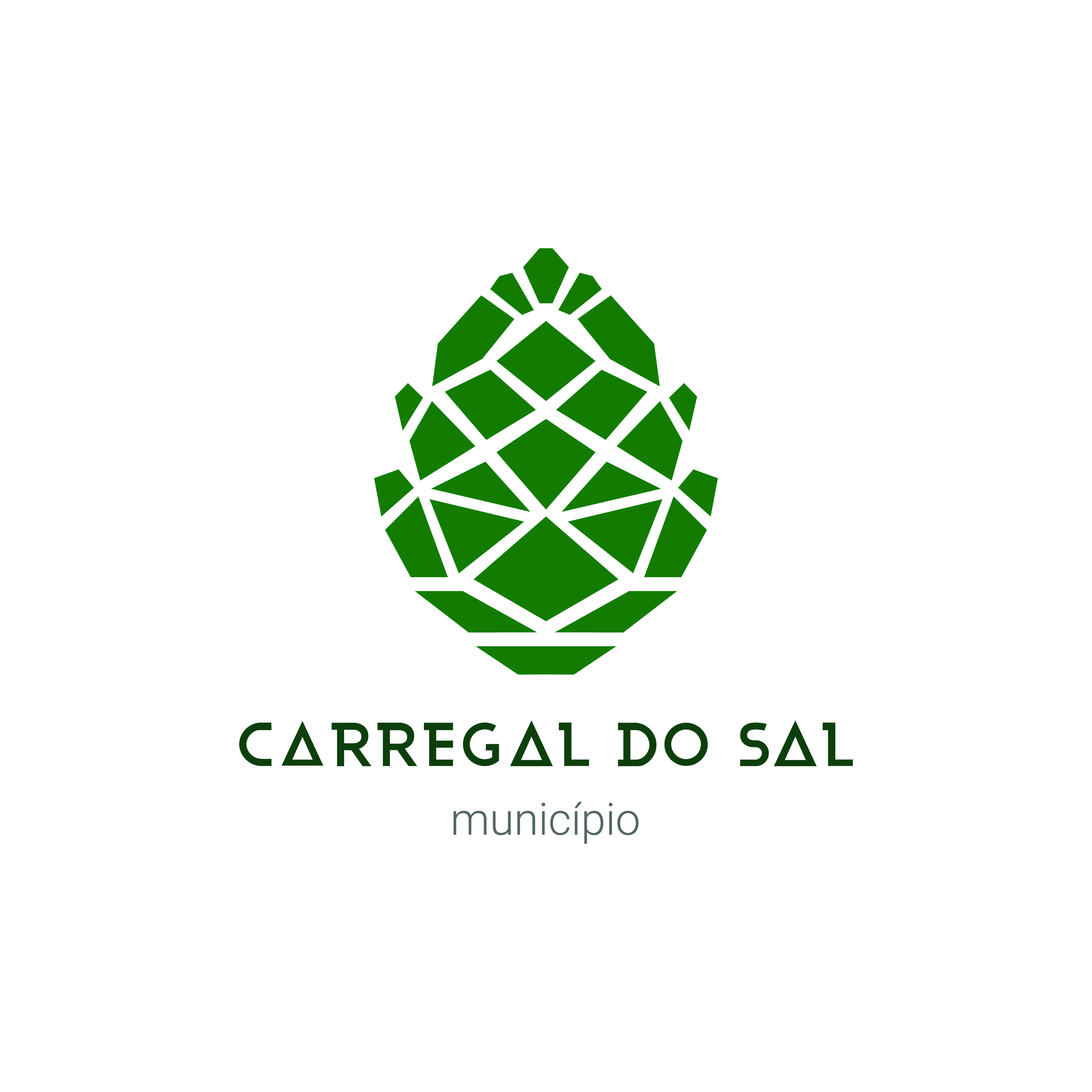Logotipo-Município de Carregal do Sal